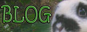 rabbit breeder blog blog for rabbit breeders