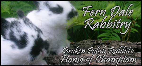 rabbitry banner