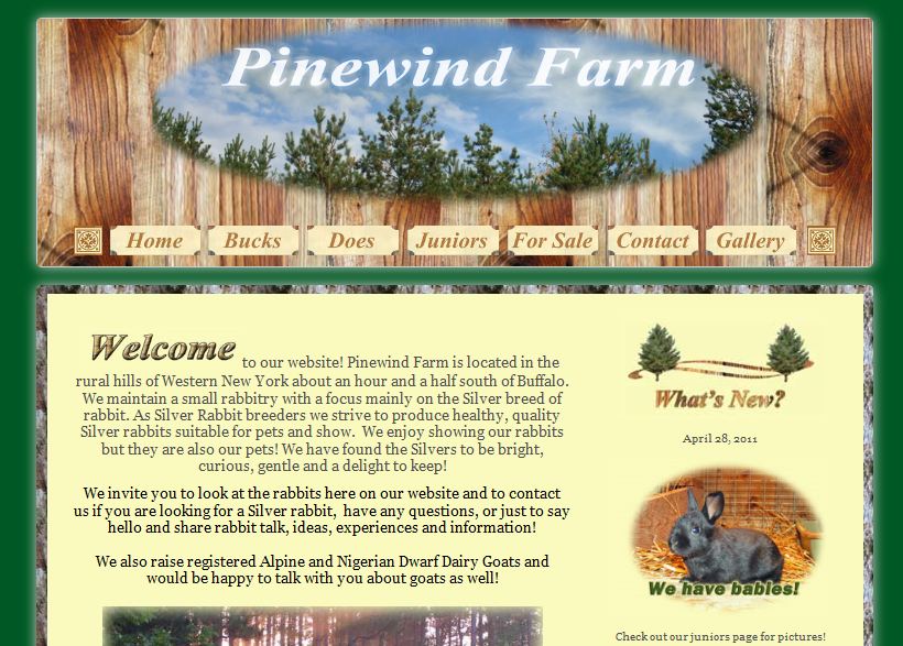 Pinewind farm raising rabbits in rural New York