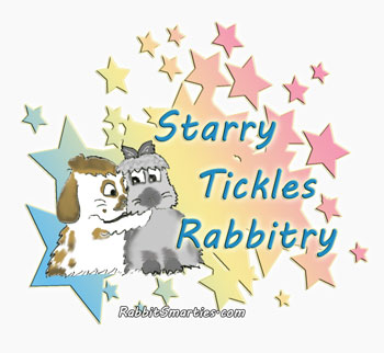 silly bunnies hand-drawn rabbity logo