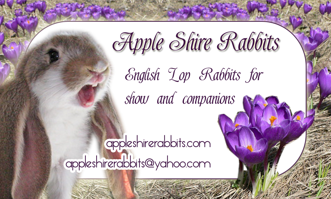 rabbitry biz card