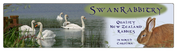 rabbitry banner design