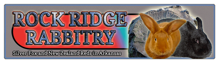 rabbitry banner design