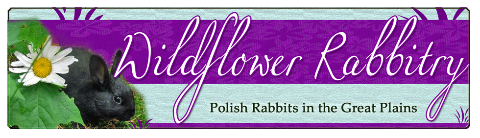 rabbitry banner design