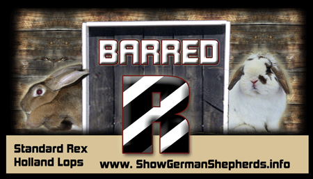 business card design for rabbit breeder - wood