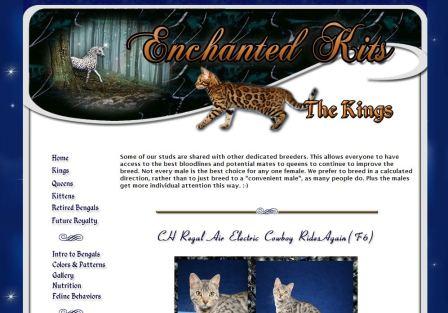 This site is not completed yet