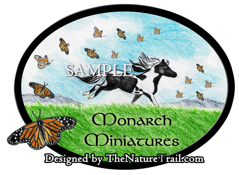 miniature horse farm logo design