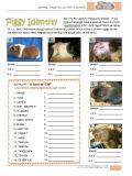 Free Animal Activities and Puzzles