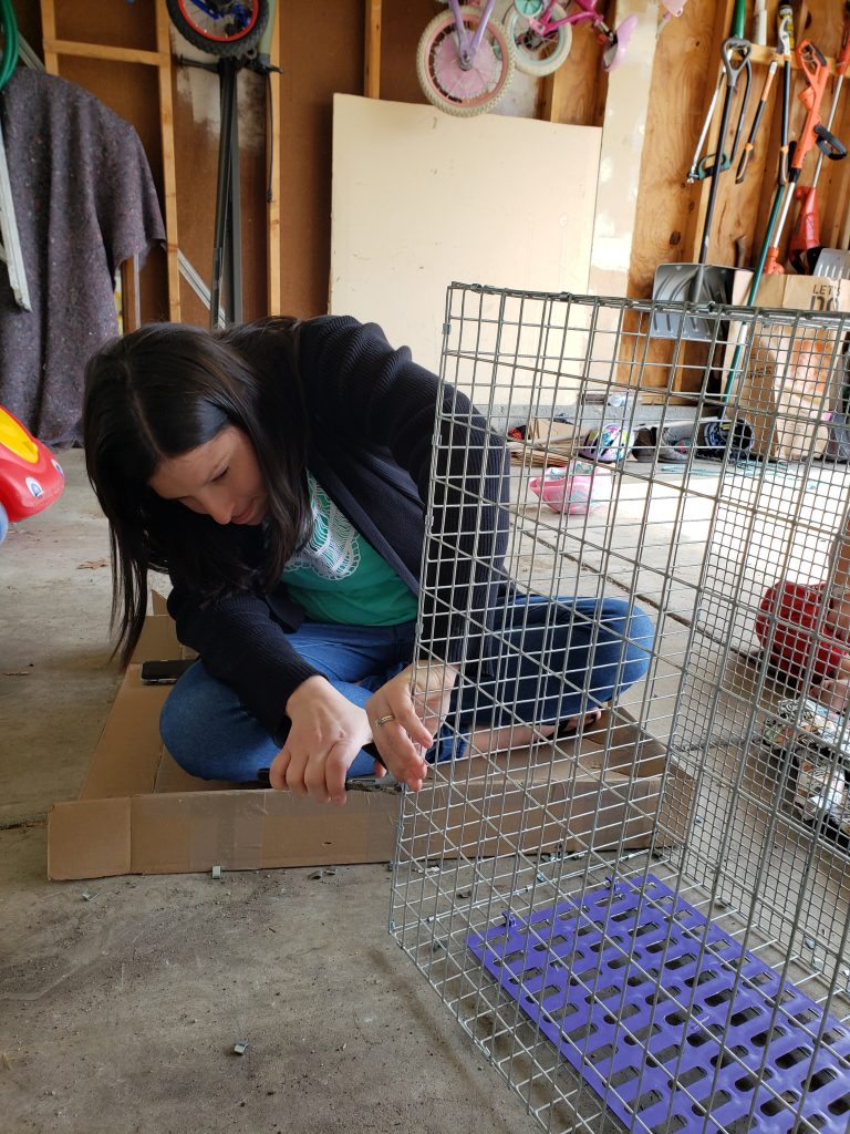building a wire rabbit cage with GAW wire