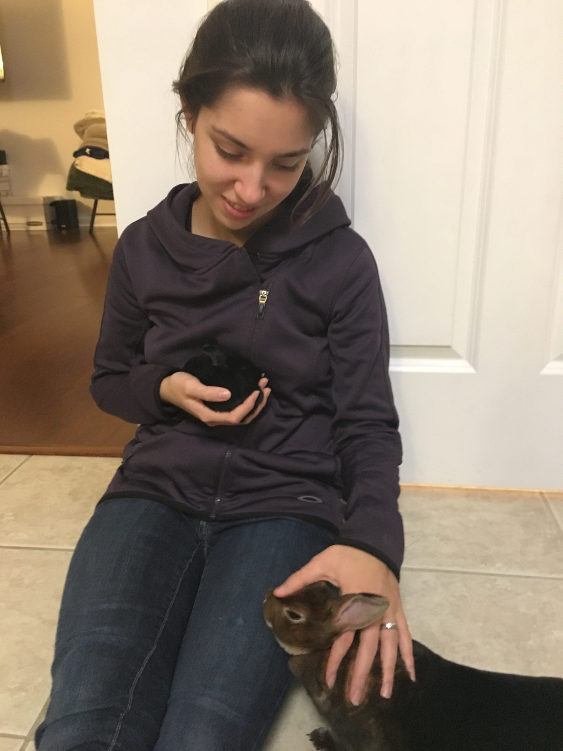 Do Rabbits Eat Their Babies? Why and How to Stop It Rabbit Smarties